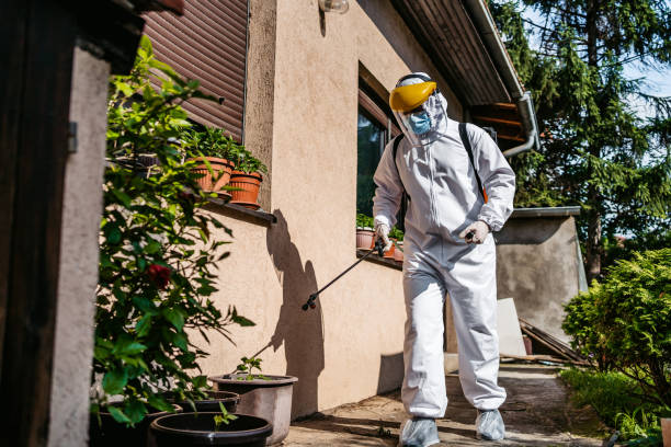 Best Best Pest Control Companies  in South El Monte, CA