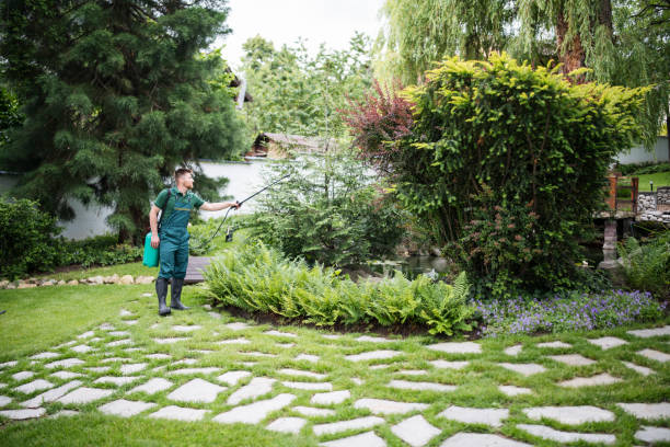 Best Emergency Pest Control  in South El Monte, CA