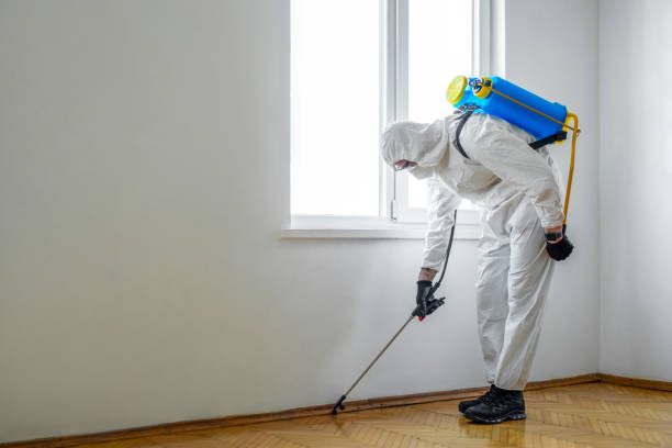 Best Bed Bug Extermination  in South El Monte, CA