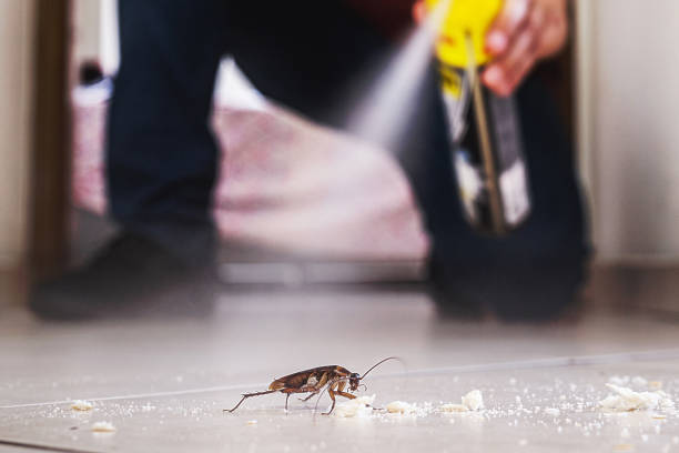 Best Wildlife Control Services  in South El Monte, CA