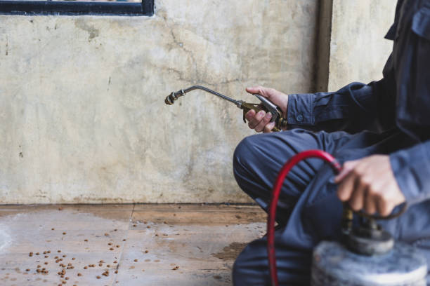 Best Residential Pest Control  in South El Monte, CA